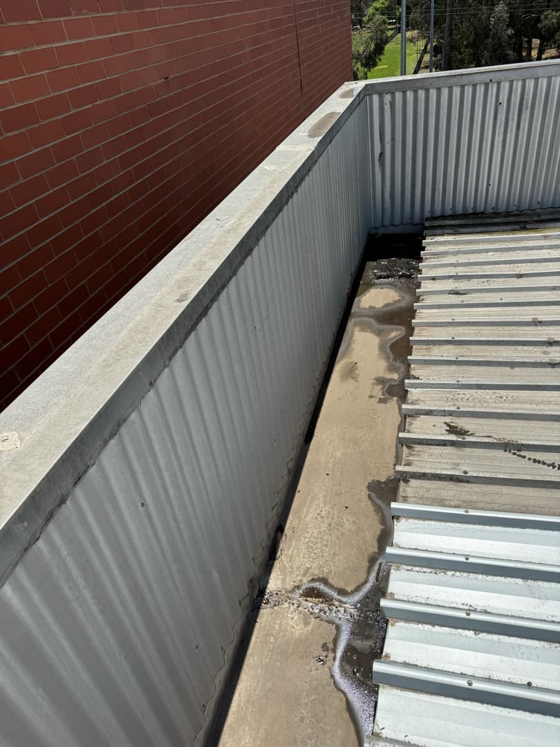 After Gutter Cleaning