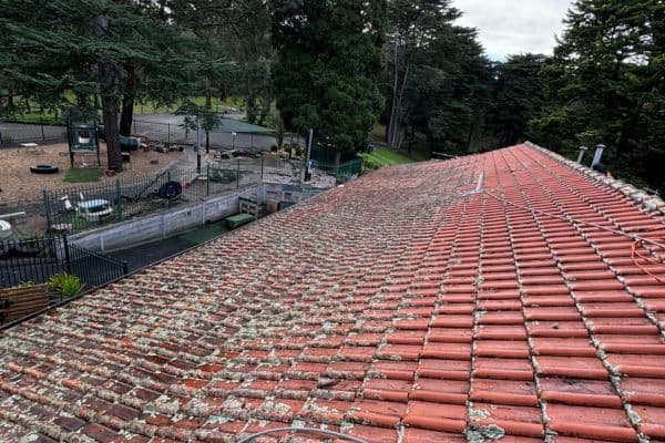 Before Roof Cleaning