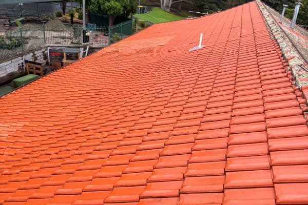 After Roof Cleaning